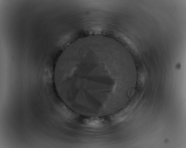 X0000103960661200809261813