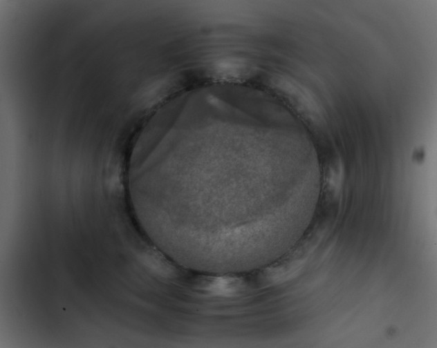 X0000103960663200809261813