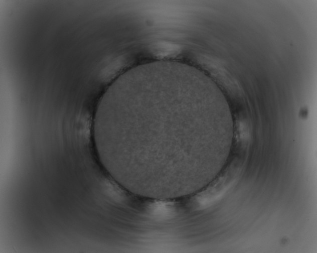X0000103960664200809261813