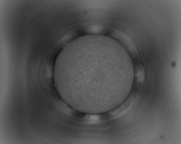 X0000103960665200809261813