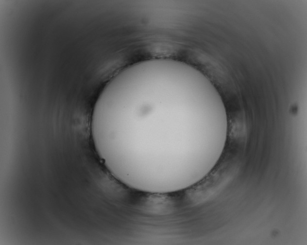 X0000103960666200809261813