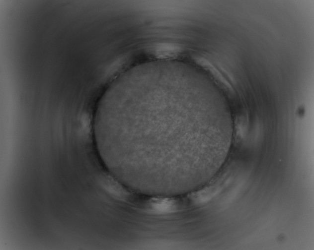 X0000103960667200809261813