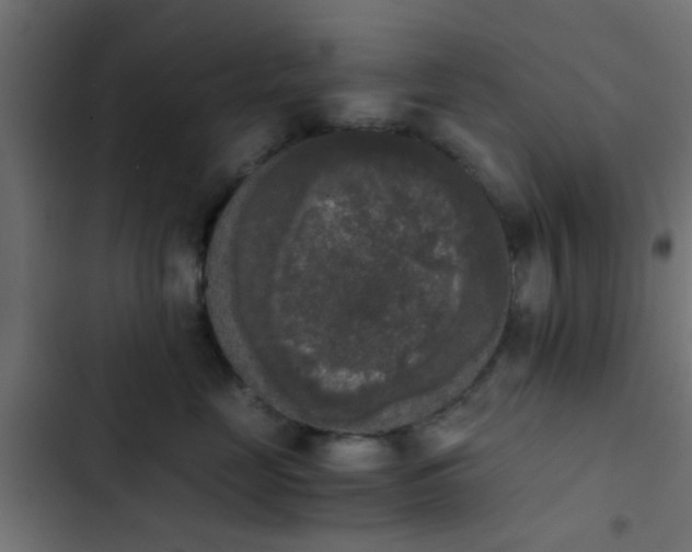 X0000103960669200809261813