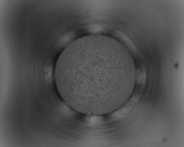 X0000103960670200809261813