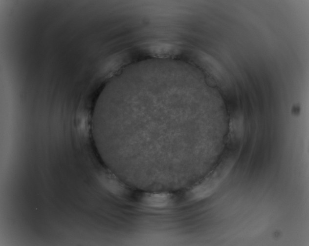 X0000103960671200809261813