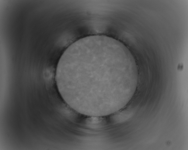 X0000103960672200809261813
