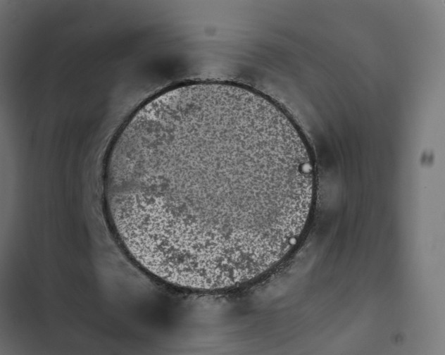 X0000103960673200809261812