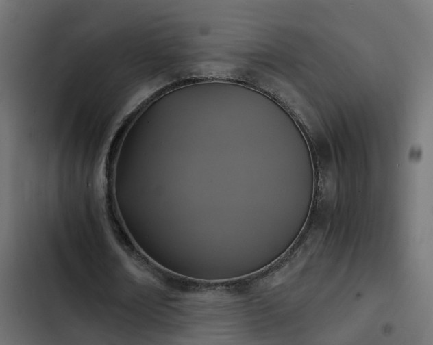 X0000103960674200809261812