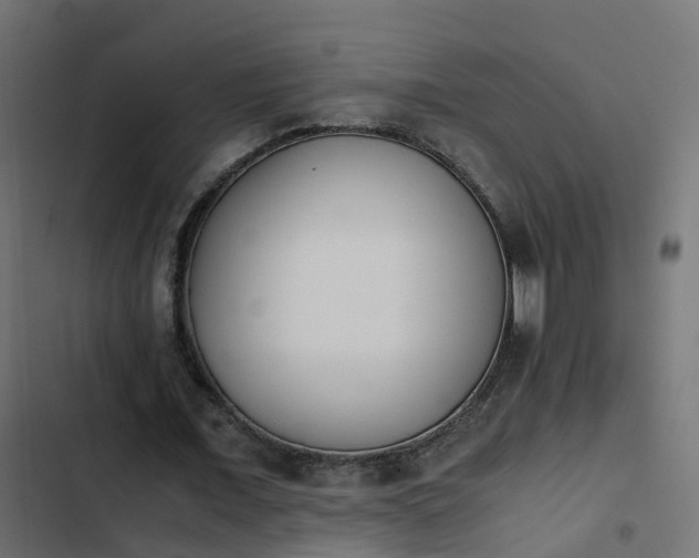 X0000103960675200809261812