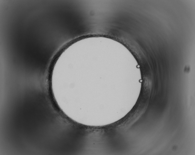 X0000103960676200809261812
