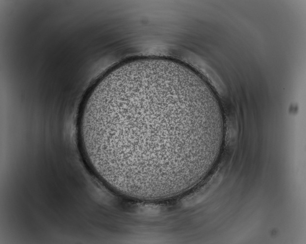 X0000103960677200809261812