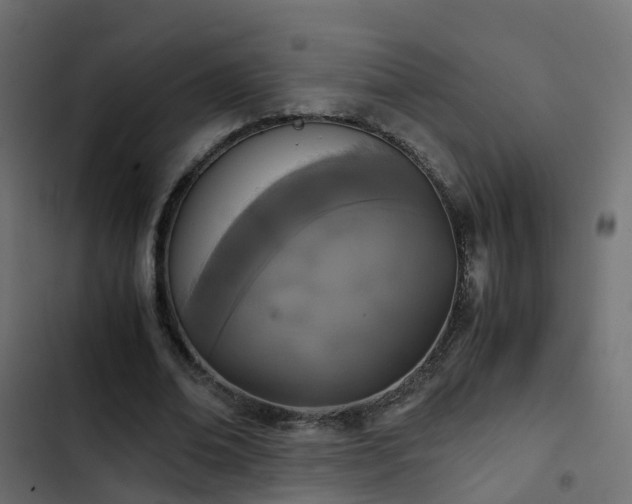 X0000103960678200809261812