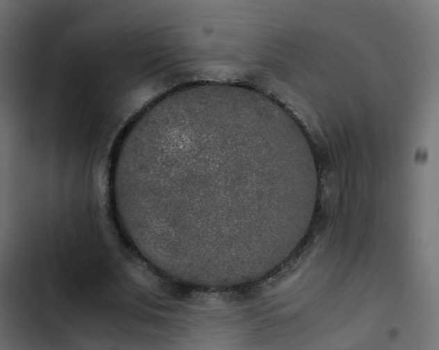 X0000103960679200809261812