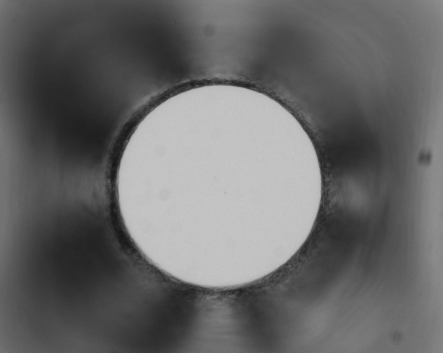 X0000103960680200809261812