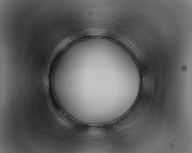 X0000103960682200809261812