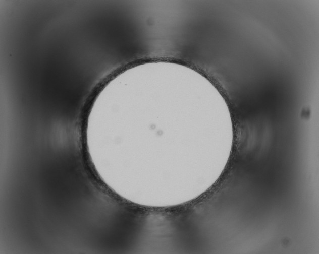 X0000103960684200809261812