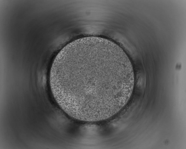 X0000103960685200809261812