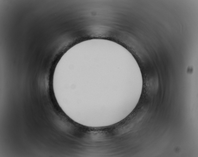 X0000103960686200809261812