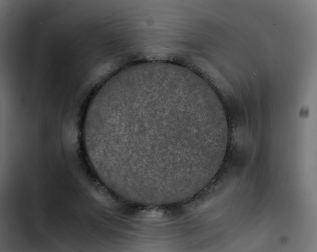 X0000103960687200809261812