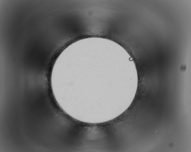 X0000103960688200809261812