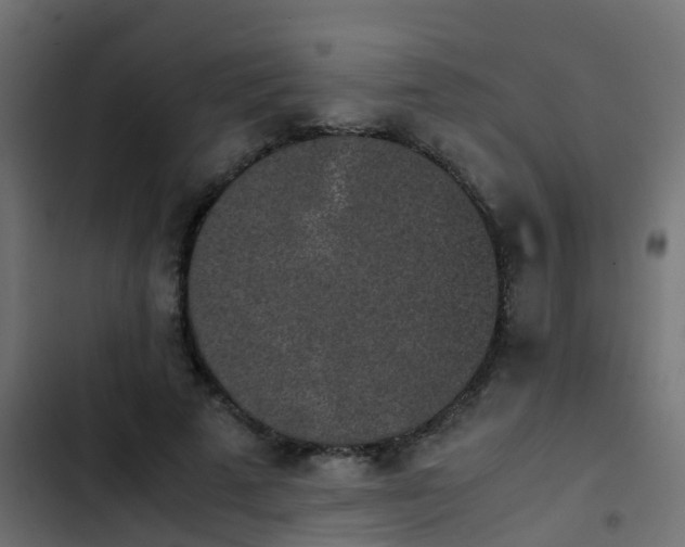 X0000103960689200809261812