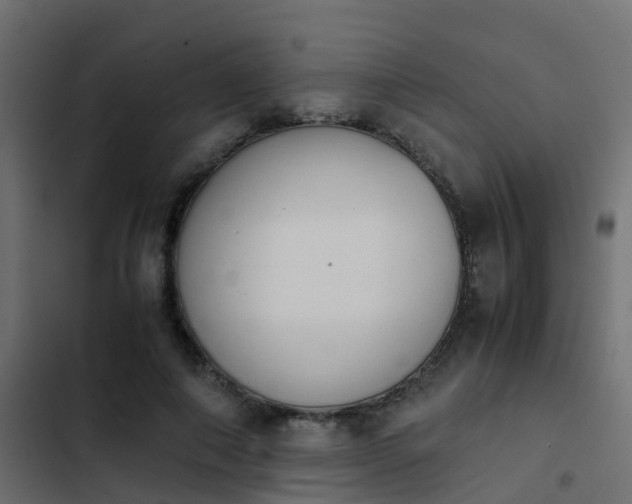 X0000103960690200809261812