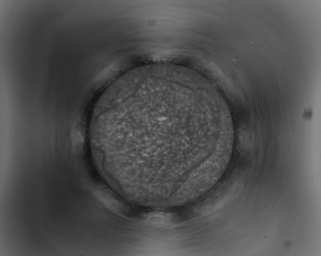 X0000103960691200809261812