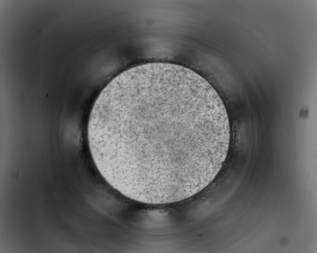 X0000103960692200809261812