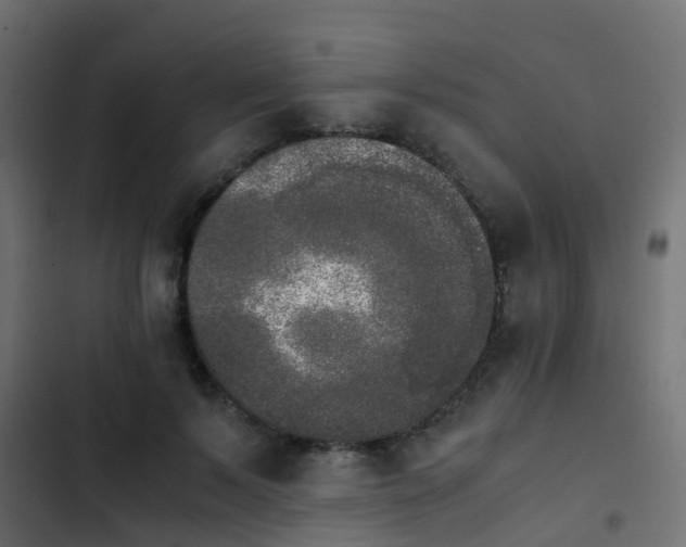 X0000103960695200809261812