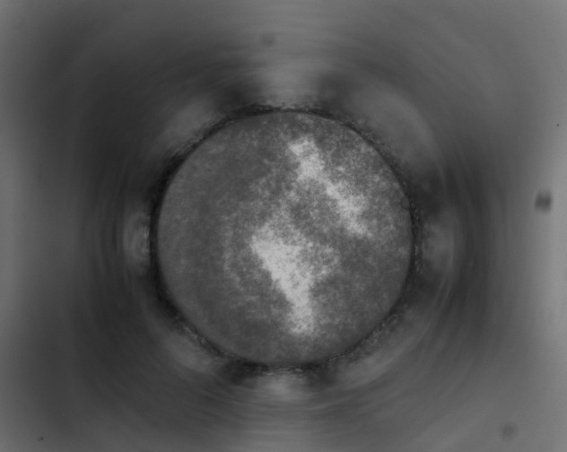 X0000103960696200809261812