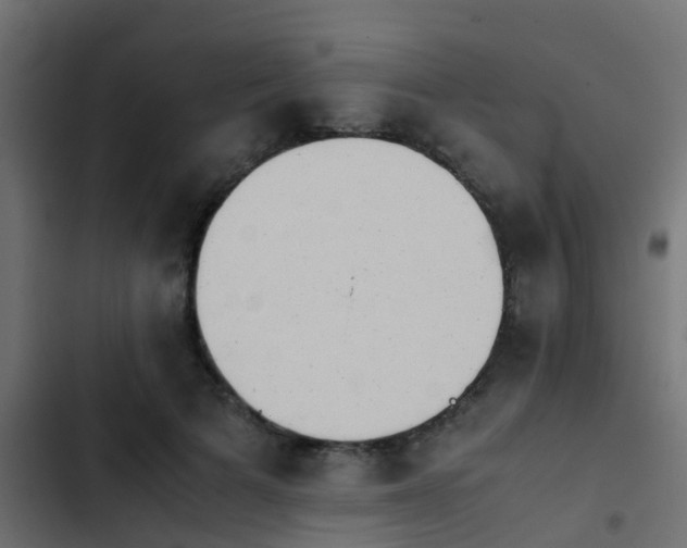 X0000103960697200809261812