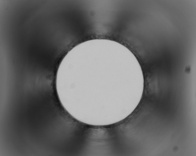 X0000103960698200809261812