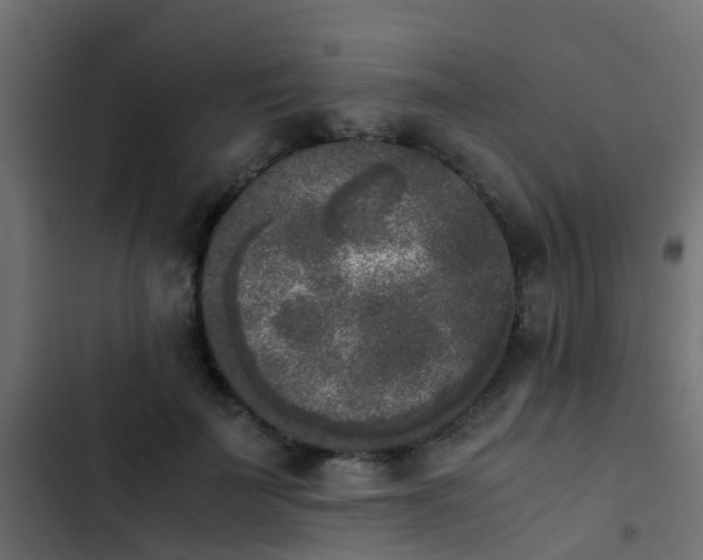 X0000103960699200809261811