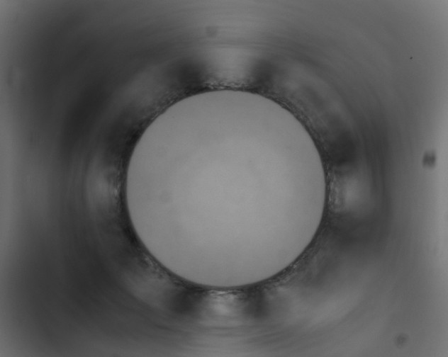 X0000103960701200809261811