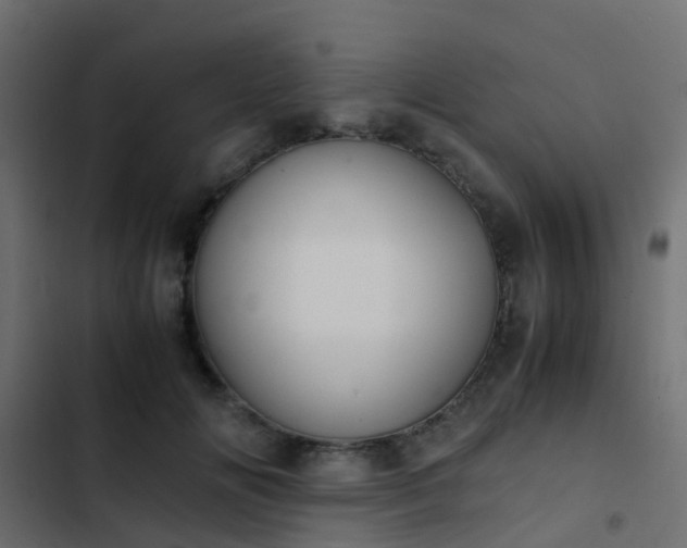X0000103960702200809261811