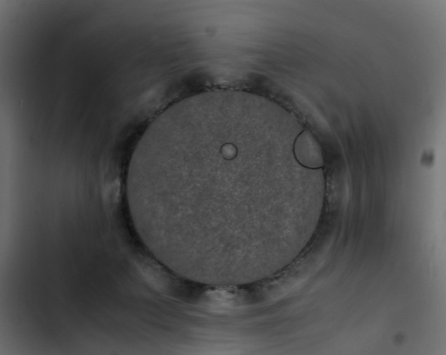 X0000103960703200809261811