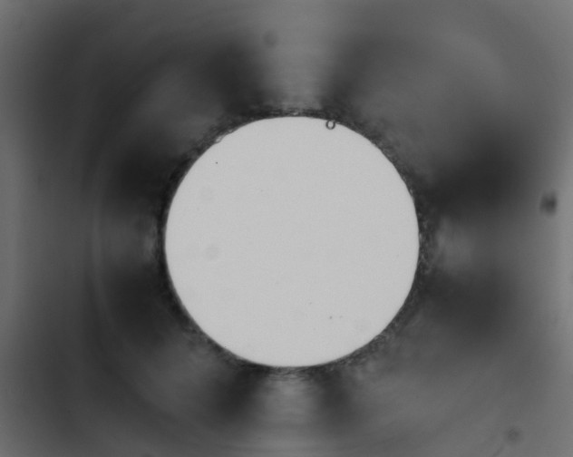 X0000103960704200809261811