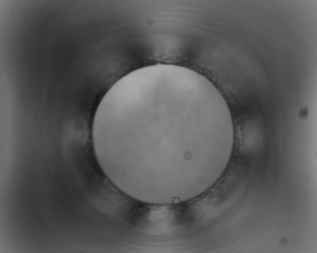X0000103960705200809261811
