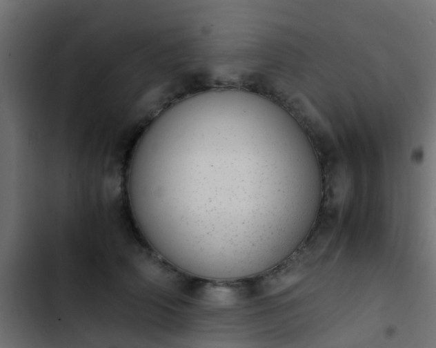X0000103960706200809261811