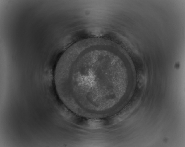 X0000103960707200809261811
