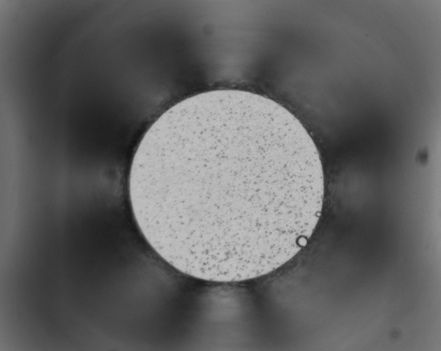 X0000103960708200809261811