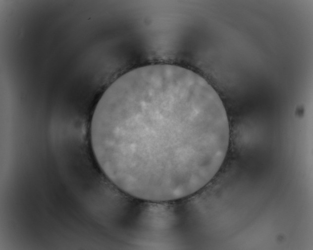 X0000103960709200809261811