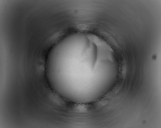X0000103960710200809261811