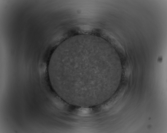 X0000103960711200809261811