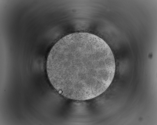 X0000103960712200809261811