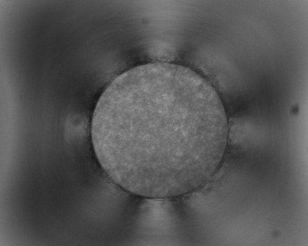 X0000103960713200809261811
