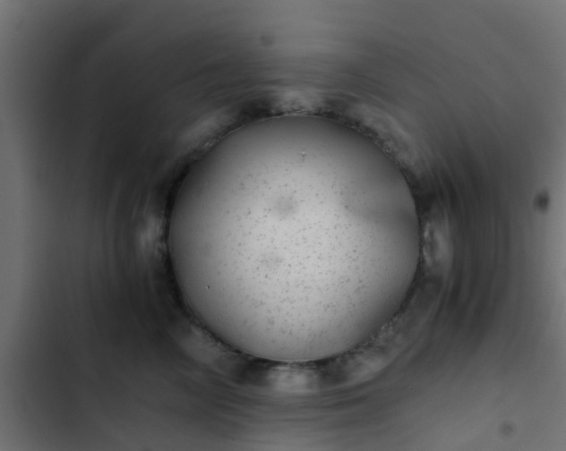 X0000103960714200809261811