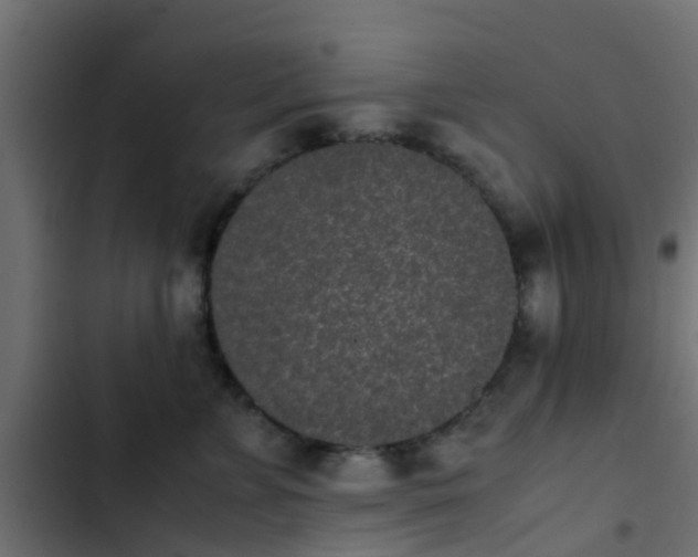 X0000103960715200809261811