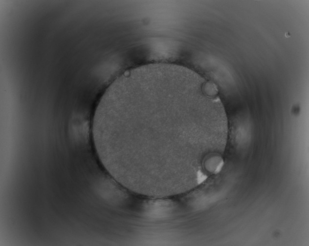 X0000103960716200809261811