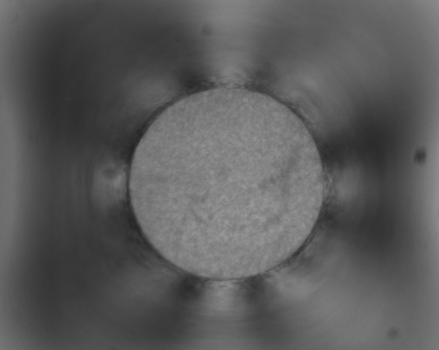 X0000103960717200809261811